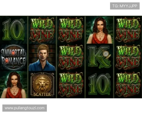 PA视讯游戏官方网站的客户服务与技术支持详细介绍确保您的游戏无障碍