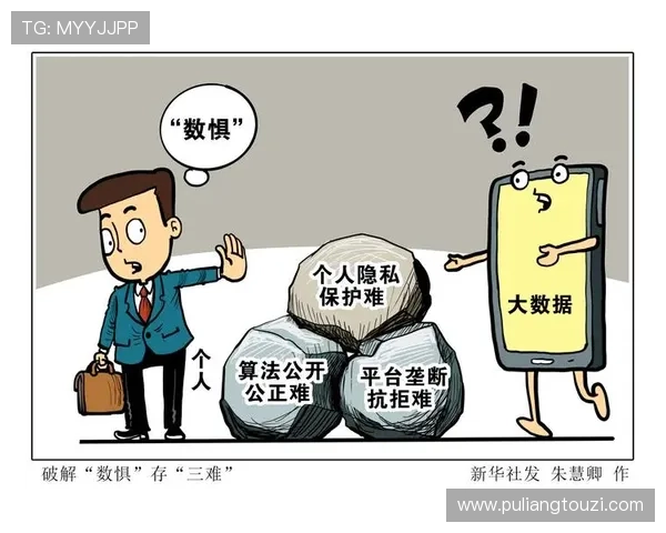 火狐视讯娱乐平台的用户数据保护与隐私安全策略分析